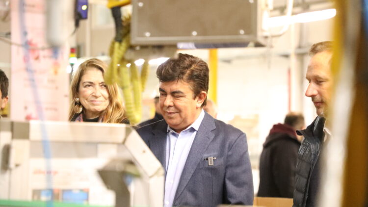 FE DG RELEVAMIENTO IND LM 2