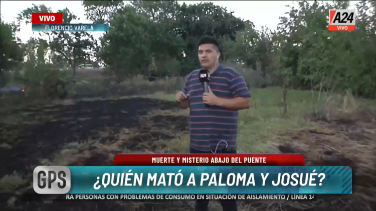 josue-paloma-movil